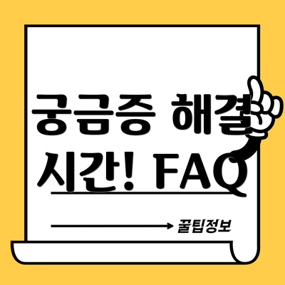 궁금증 해결 시간! FAQ