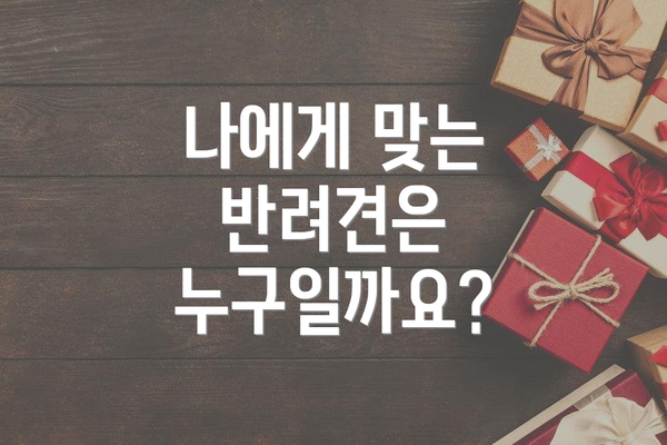 나에게 맞는 반려견은 누구일까요?