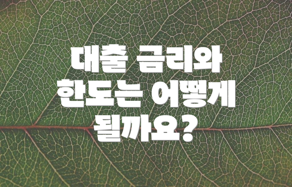 대출 금리와 한도는 어떻게 될까요?