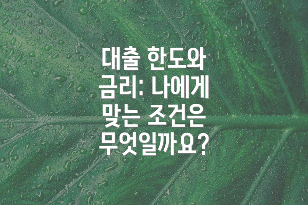 대출 한도와 금리: 나에게 맞는 조건은 무엇일까요?
