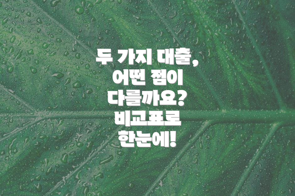 두 가지 대출, 어떤 점이 다를까요?  비교표로 한눈에!
