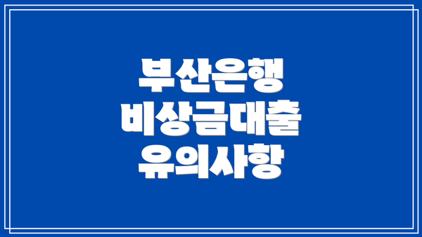 부산은행 비상금대출 유의사항