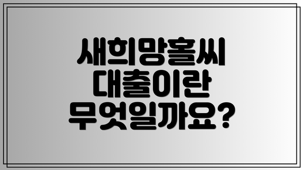 새희망홀씨 대출이란 무엇일까요?