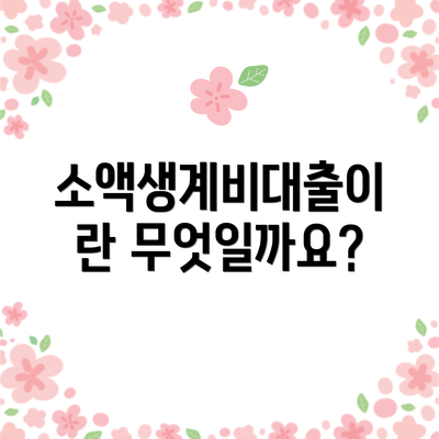 소액생계비대출이란 무엇일까요?