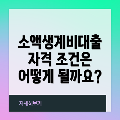 소액생계비대출 자격 조건은 어떻게 될까요?