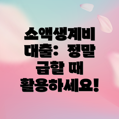 소액생계비 대출:  정말 급할 때 활용하세요!