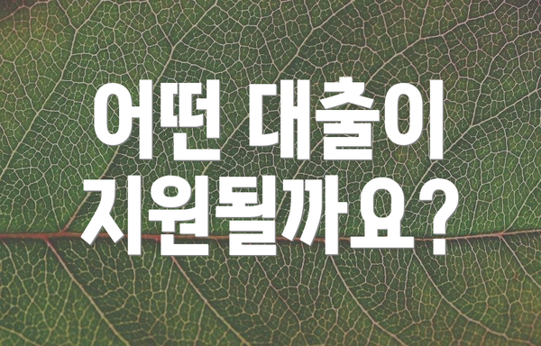어떤 대출이 지원될까요?