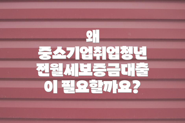 왜 중소기업취업청년 전월세보증금대출이 필요할까요?