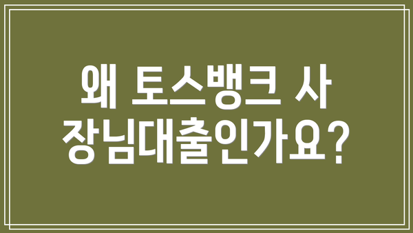 왜 토스뱅크 사장님대출인가요?