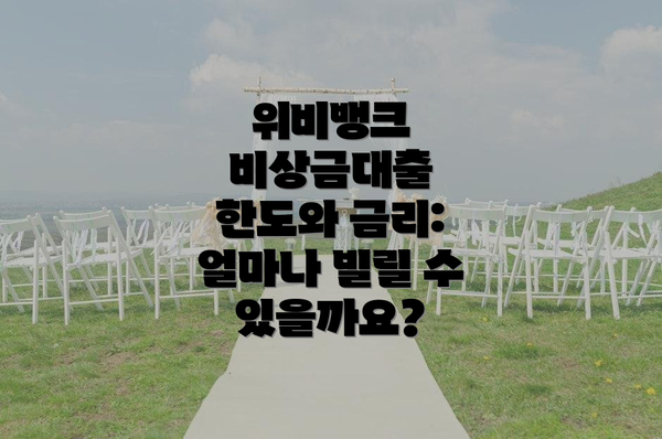 위비뱅크 비상금대출 한도와 금리: 얼마나 빌릴 수 있을까요?
