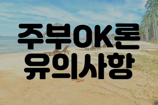 주부OK론 유의사항
