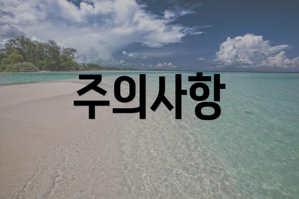 주의사항