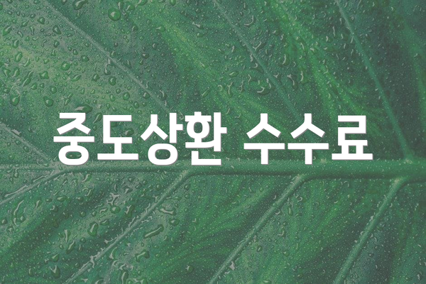 중도상환 수수료