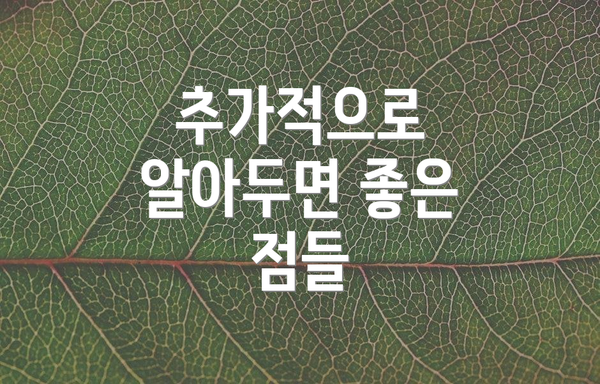 추가적으로 알아두면 좋은 점들