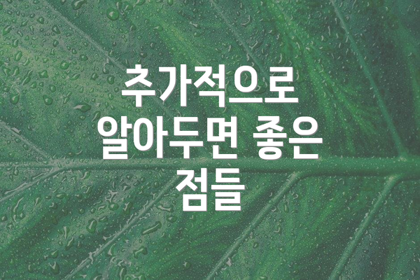추가적으로 알아두면 좋은 점들