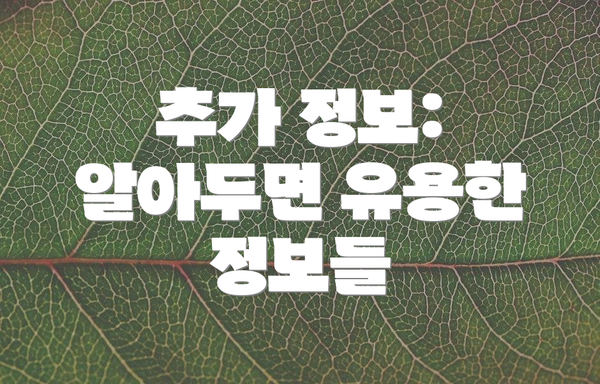 추가 정보:  알아두면 유용한 정보들