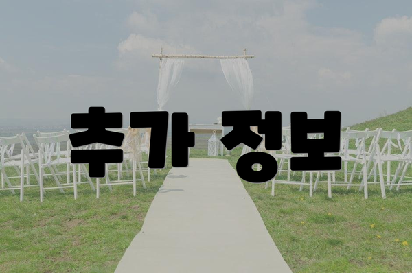 추가 정보