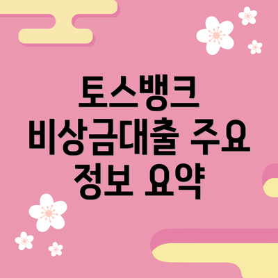 토스뱅크 비상금대출 주요 정보 요약