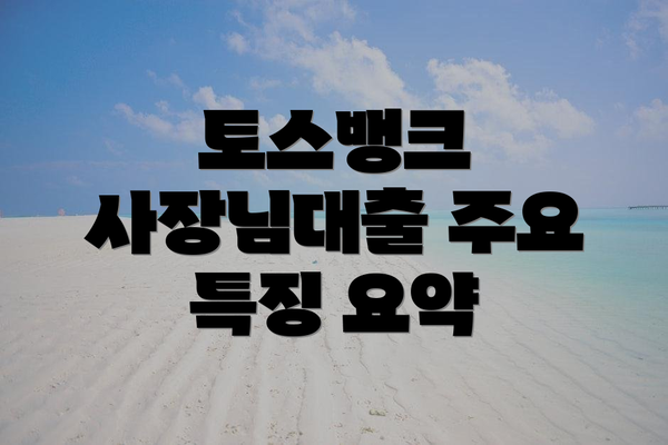 토스뱅크 사장님대출 주요 특징 요약