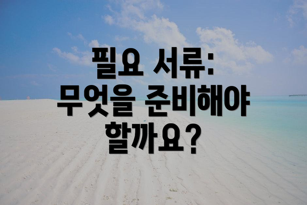 필요 서류: 무엇을 준비해야 할까요?