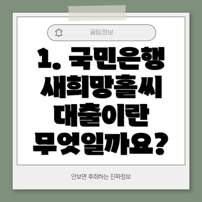 1. 국민은행 새희망홀씨 대출이란 무엇일까요?