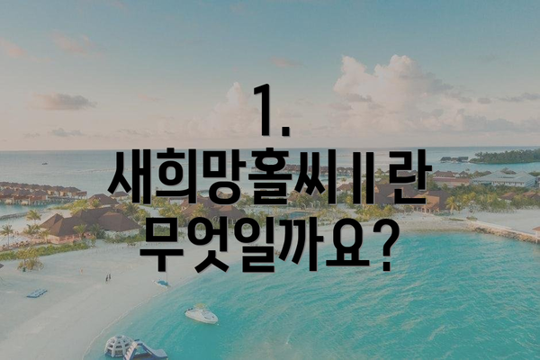 1. 새희망홀씨Ⅱ란 무엇일까요?
