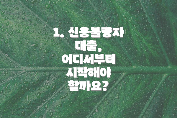 1. 신용불량자 대출, 어디서부터 시작해야 할까요?