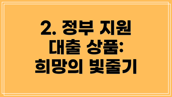 2. 정부 지원 대출 상품: 희망의 빛줄기