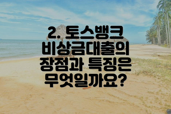 2. 토스뱅크 비상금대출의 장점과 특징은 무엇일까요?