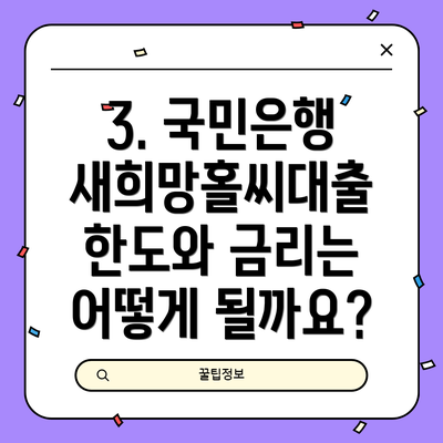 3. 국민은행 새희망홀씨대출 한도와 금리는 어떻게 될까요?