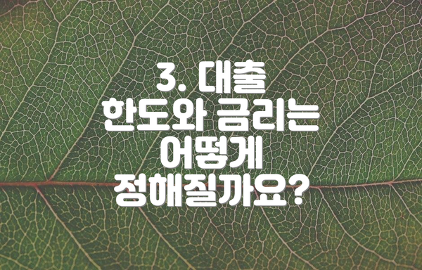 3. 대출 한도와 금리는 어떻게 정해질까요?