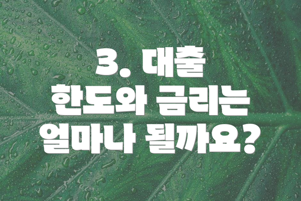 3. 대출 한도와 금리는 얼마나 될까요?