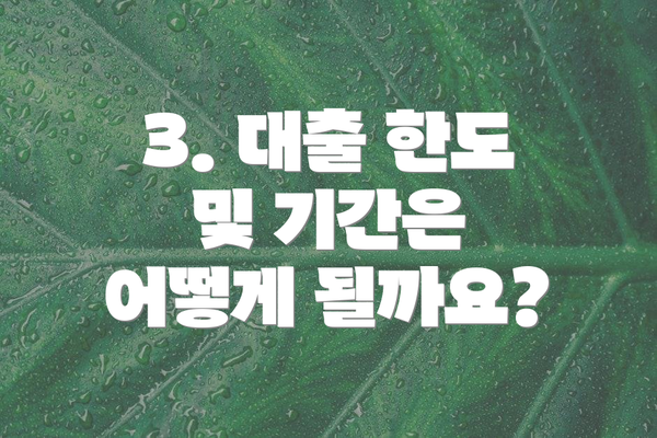 3. 대출 한도 및 기간은 어떻게 될까요?