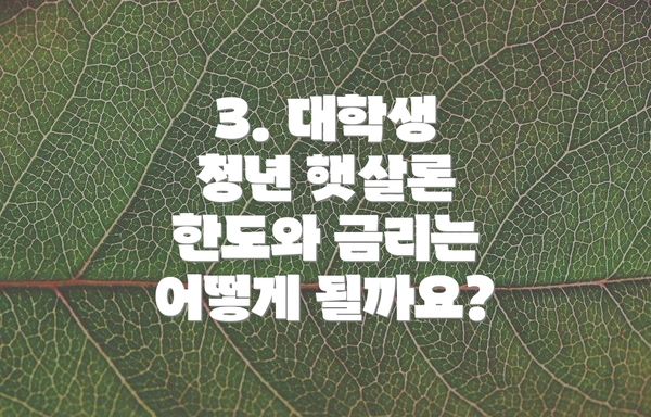 3. 대학생 청년 햇살론 한도와 금리는 어떻게 될까요?