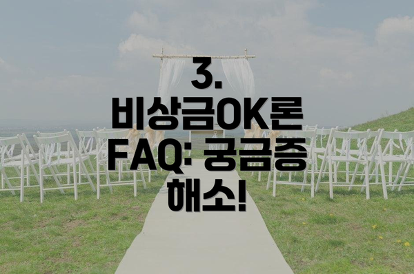3. 비상금OK론 FAQ: 궁금증 해소!