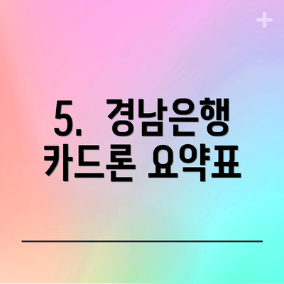 5.  경남은행 카드론 요약표