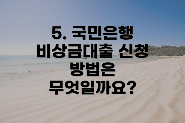 5. 국민은행 비상금대출 신청 방법은 무엇일까요?