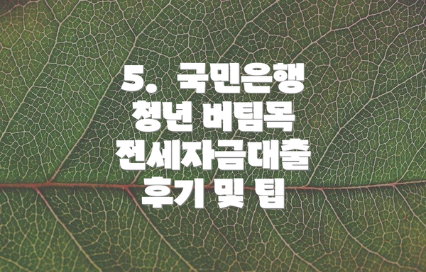 5.  국민은행 청년 버팀목 전세자금대출 후기 및 팁