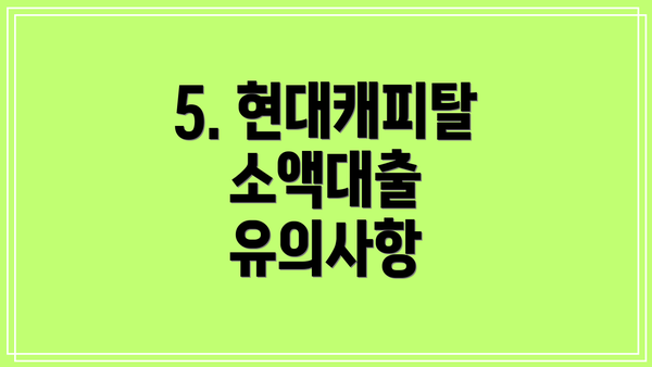 5. 현대캐피탈 소액대출 유의사항
