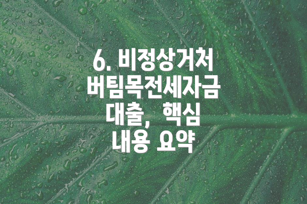 6. 비정상거처 버팀목전세자금 대출,  핵심 내용 요약
