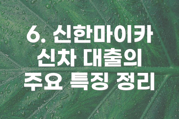 6. 신한마이카 신차 대출의 주요 특징 정리