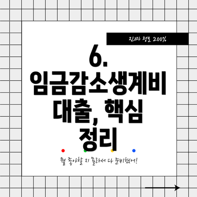 6.  임금감소생계비 대출, 핵심 정리
