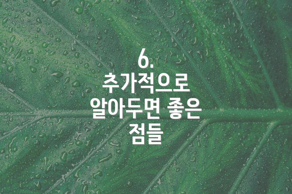 6.  추가적으로 알아두면 좋은 점들