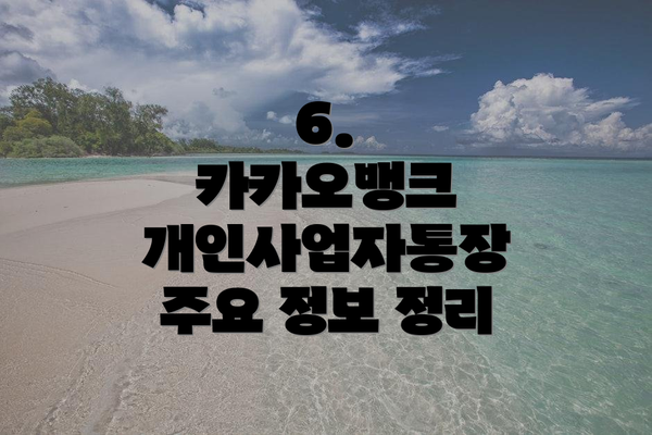 6.  카카오뱅크 개인사업자통장 주요 정보 정리