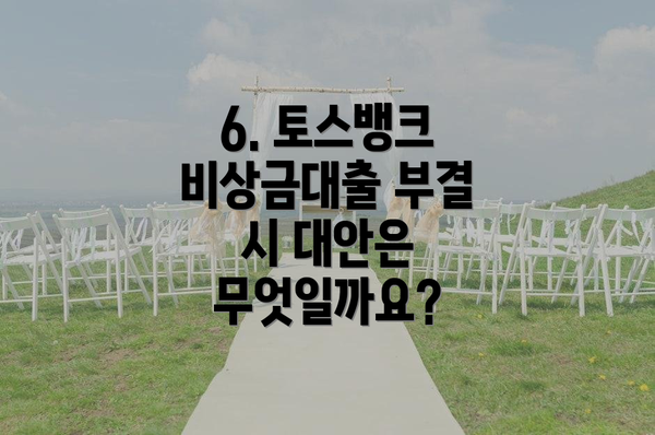 6. 토스뱅크 비상금대출 부결 시 대안은 무엇일까요?