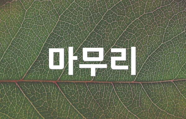 마무리