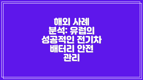 해외 사례 분석: 유럽의 성공적인 전기차 배터리 안전 관리