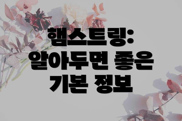 햄스트링:  알아두면 좋은 기본 정보