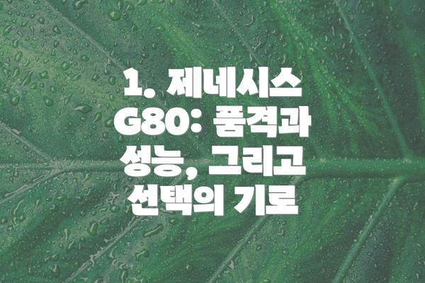 1. 제네시스 G80: 품격과 성능, 그리고 선택의 기로