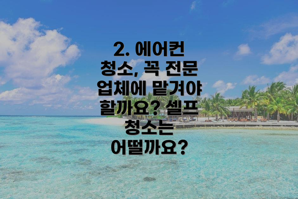 2. 에어컨 청소, 꼭 전문 업체에 맡겨야 할까요? 셀프 청소는 어떨까요?